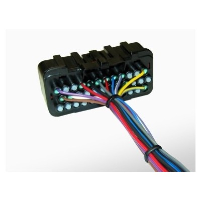 Omex 600 ECU Plug & Tails