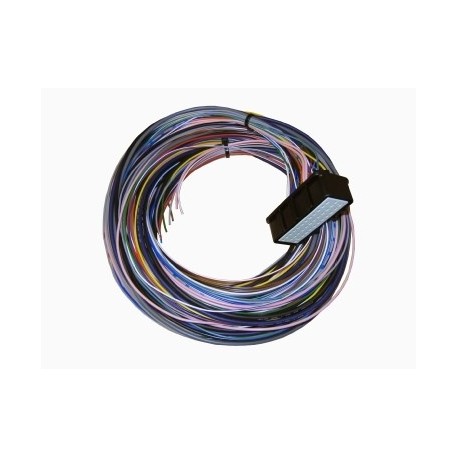 Omex 710 ECU Plug & Tails