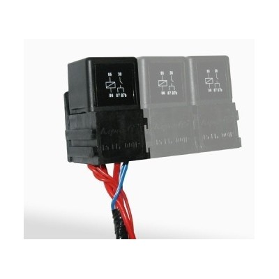 Omex 600 ECU Full Basic Harness