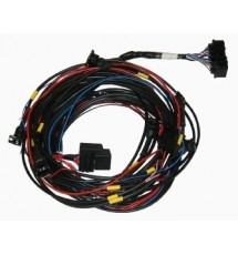 Omex 600 ECU Full Basic Harness