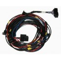Omex 600 ECU Full Basic Harness