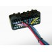 Omex 600 ECU Full Basic Harness