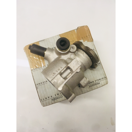 Genuine OE Peugeot 205 GTI / 309 GTI Power Steering Pump