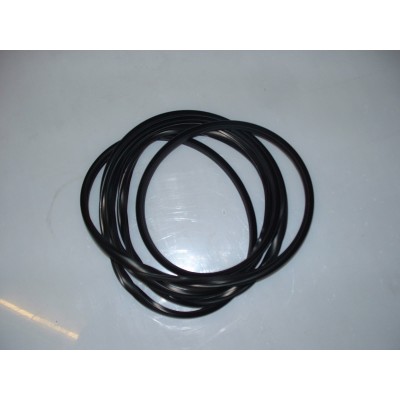 Peugeot 106 Phase 2 Rear Screen Seal