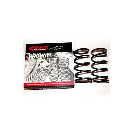 Peugeot 106 PH1 Eibach Lowering Springs 25-35mm