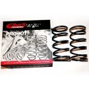 Peugeot 106 Ph1 Eibach Lowering Springs 1994-1996 30-40mm