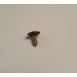 Genuine OE Peugeot 205 / 309 Original Sunroof Screw - 8424.18 (1)