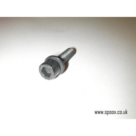 Genuine O/E Citroen Saxo VTS Cam Ladder Bolt (1)