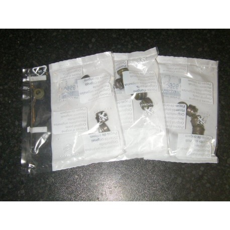 Genuine OE Peugeot 106 GTI TU5J4 Valve Stem Oil Seal Set (16)