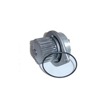 Citroen Saxo VTS Water Pump
