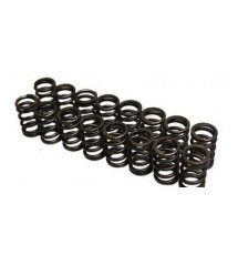 Newman Cams Peugeot 106 GTI Uprated Valve Spring Kit