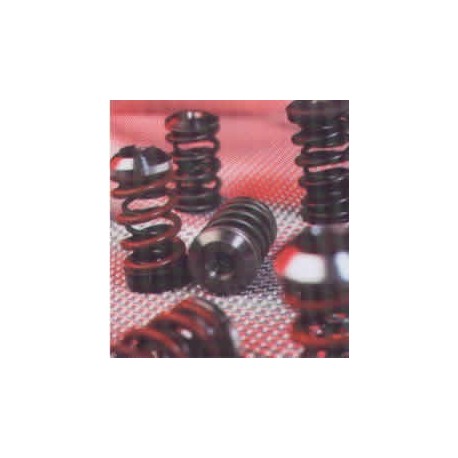 Kent Cams Peugeot 405 T16 High Performance double valve springs