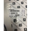 Genuine OE Peugeot Quiksilver Sticker - 8665.76