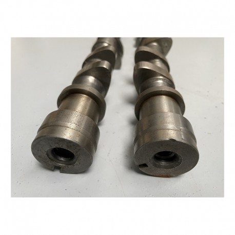 Peugeotsport 206 S1600 Camshafts (TU5JP4) 219003-01 & 219003-02