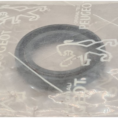 Genuine OE Peugeot 205 GTI BE1 selector seal - 2515.09