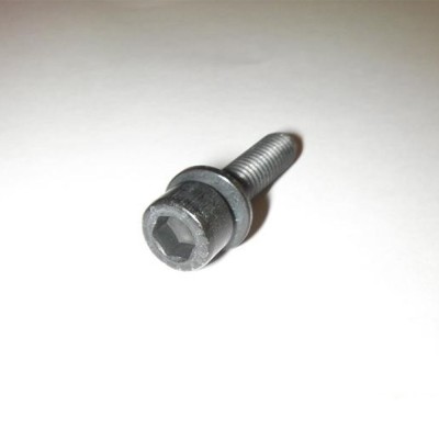 Genuine O/E Peugeot 405 1.9 Mi16 Cam Ladder Bolt