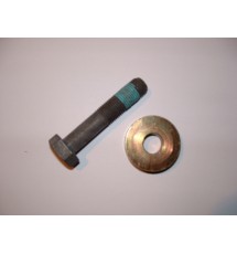 Citroen Saxo VTS crank pulley bolt & washer