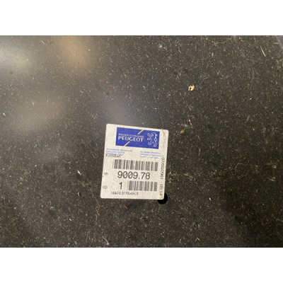 Genuine OE Peugeot 106 3dr Nearside Front Door Skin - 9009.78