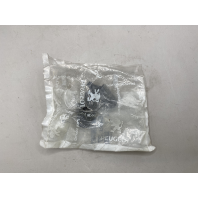 Genuine OE Peugeot 205 Phase 1 Rear Washer Jet - 6438.37