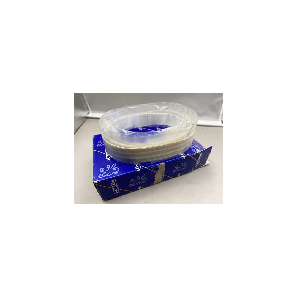 Genuine OE Peugeot 309 Look 5 Door RHS Graphics Set - 8659.Y1