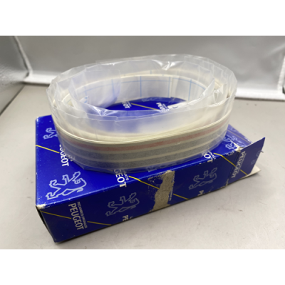 Genuine OE Peugeot 309 Look 5 Door RHS Graphics Set - 8659.Y1