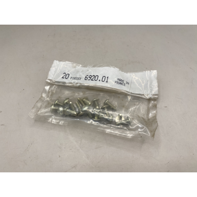 Genuine OE Peugeot 205 Door Mirror Fixing Screws (sold individually) - 6920.01