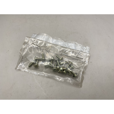 Genuine OE Peugeot 205 Door Mirror Fixing Screws (sold individually) - 6920.01