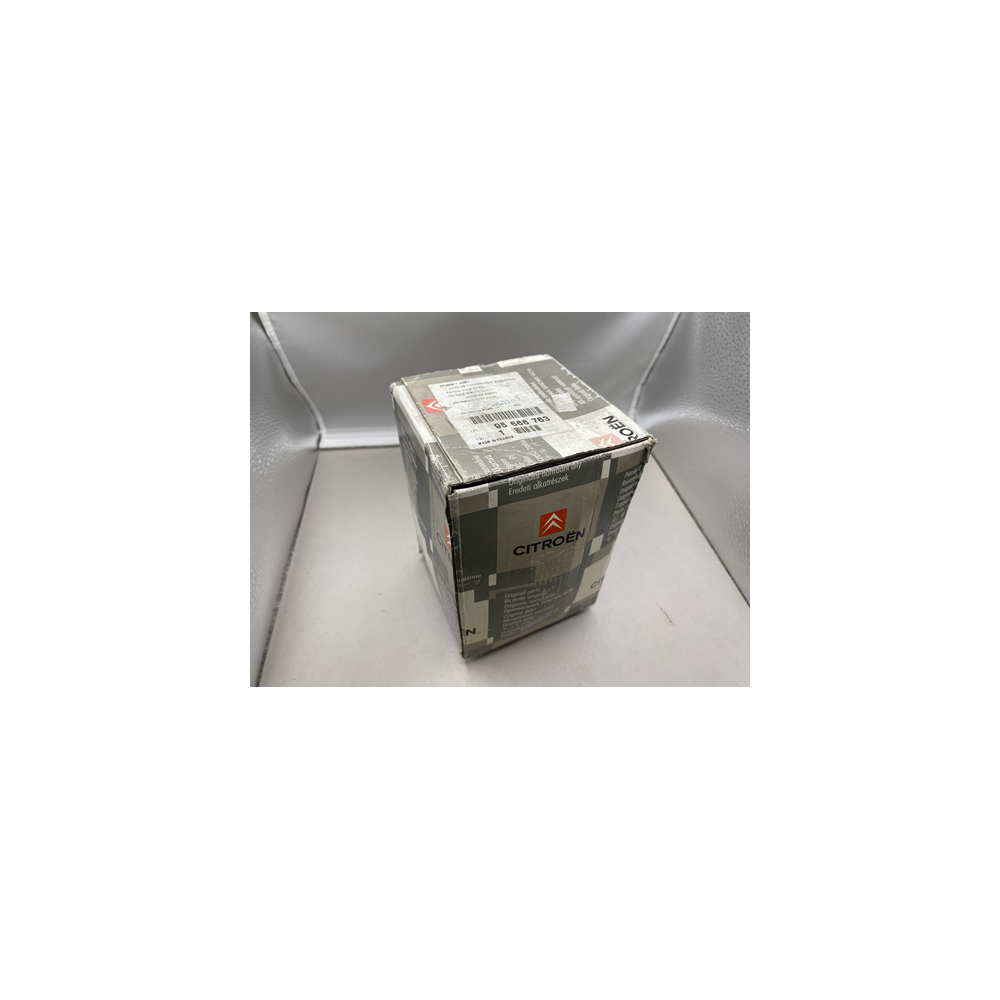 Genuine OE Citroen Xantia XM Sphere and Seal - 95666763