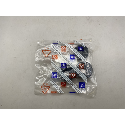 Genuine OE Peugeot 407 Shaft Seal For Rear Windscreen Wiper - 6405.K5