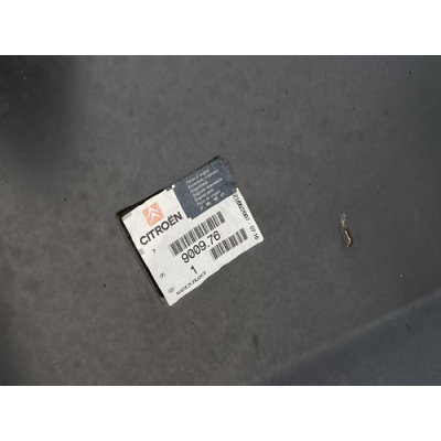 Genuine OE Citroen Saxo 3 door Nearside Front Door Skin Panel - 9009.76