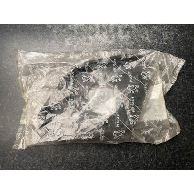 Genuine OE Peugeot 309 Fuel Filler Unit Surround - 1517.27