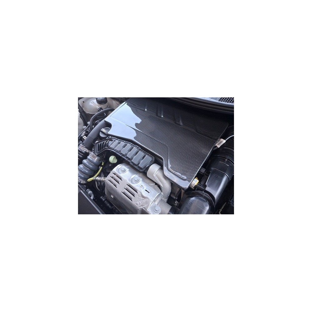 Peugeot 208 Carbon Fibre Engine Cover