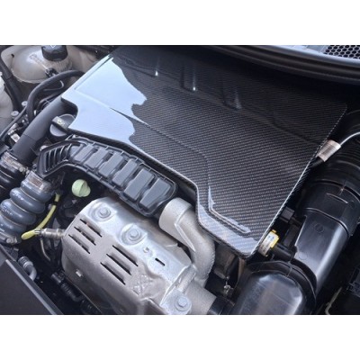 Peugeot 208 Carbon Fibre Engine Cover
