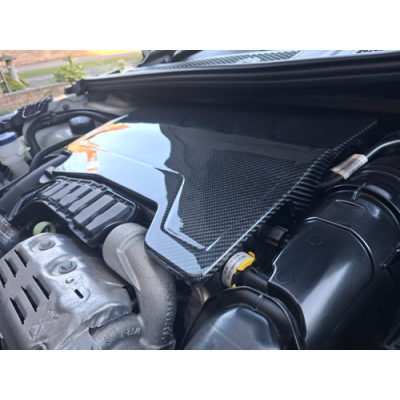 Peugeot 208 Carbon Fibre Engine Cover