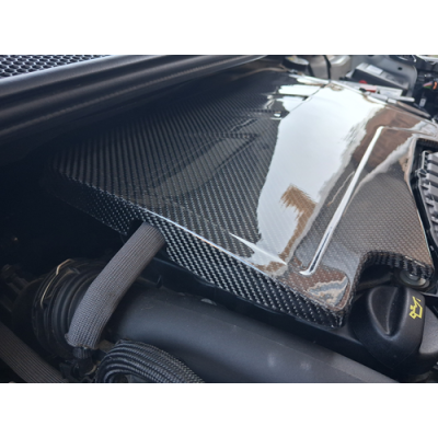 Peugeot 208 Carbon Fibre Engine Cover