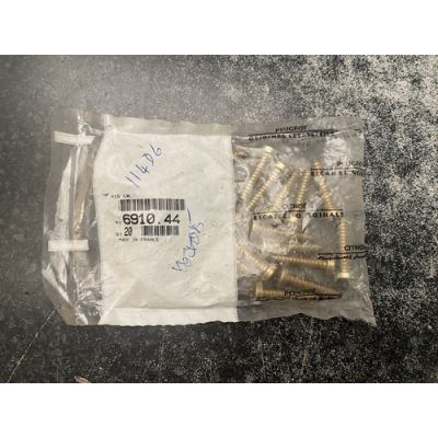 Genuine OE Peugeot 205 Door Arm Rest Screw - 6910.44