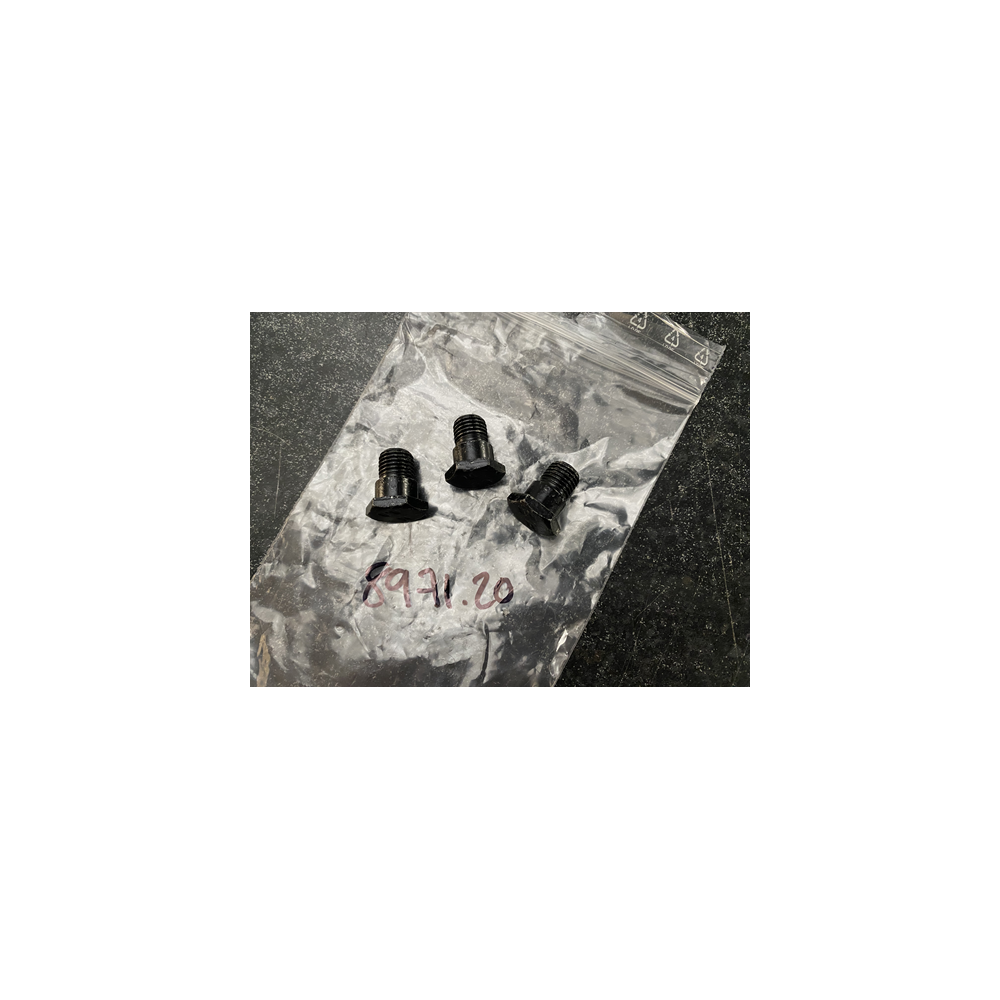 Genuine OE Seat Belt Screws Black (Sold Individually) - 8971.20