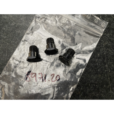 Genuine OE Seat Belt Screws Black (Sold Individually) - 8971.20