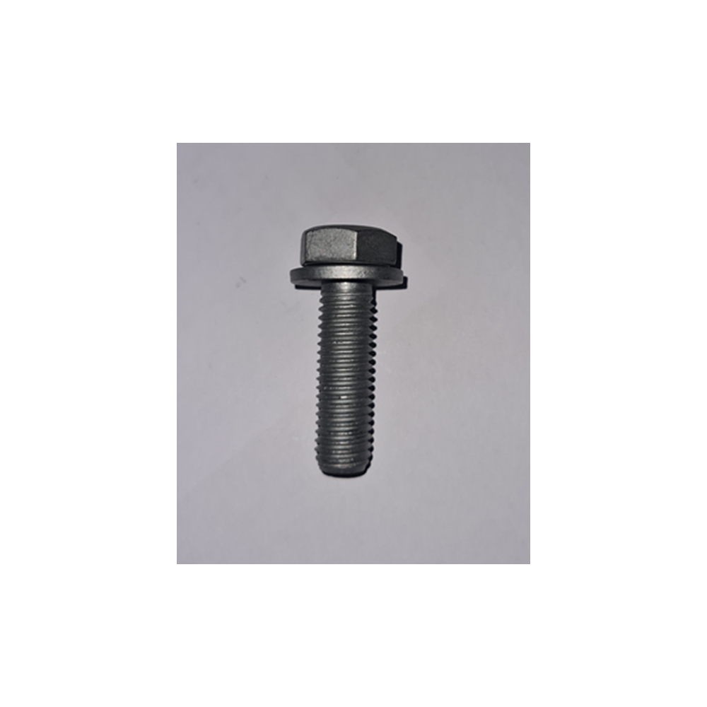 Genuine OE Peugeot camshaft timing gear screw with washer - 6923.E6