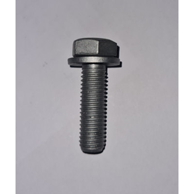 Genuine OE Peugeot camshaft timing gear screw with washer - 6923.E6