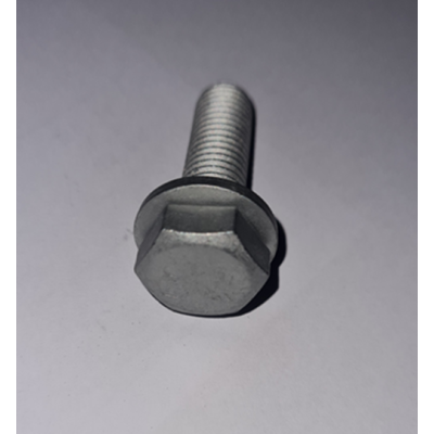 Genuine OE Peugeot camshaft timing gear screw with washer - 6923.E6