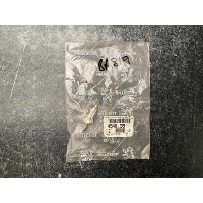 Genuine OE Peugeot 206 ABS Bolt for Sensor - 4548.39