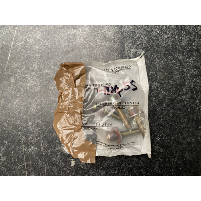 Genuine OE Peugeot 306 Clutch Plate Screw Bolt - 6913.H8