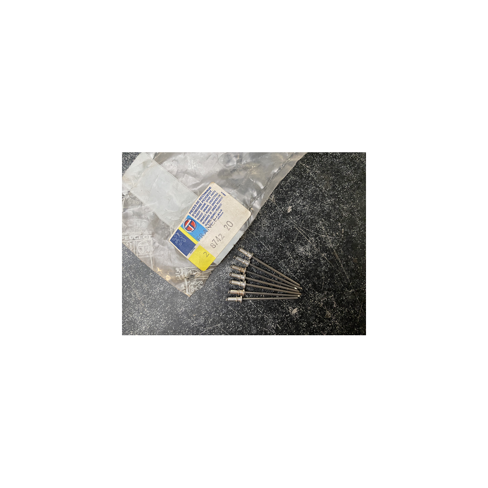 Genuine OE Peugeot 205 GTI bodykit trim Rivet - 8742.20 (1)