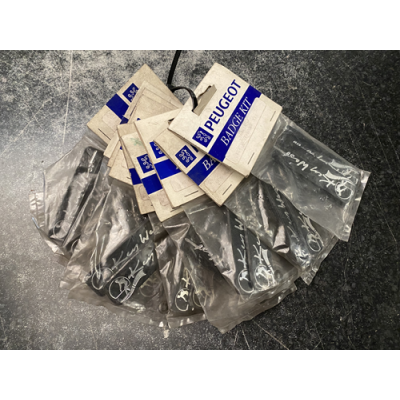 Genuine OE Peugeot KEY WEST Mudflap Badge KIT (Pair of badges) Key West Emblem - 9648.1R