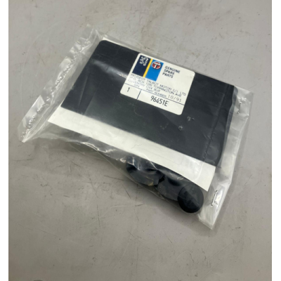 Genuine OE Peugeot Mat Fitting Kit - 9645.1E