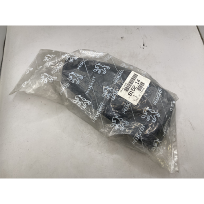 Genuine Peugeot 306 Wing Mirror Back Cover Black - Driver Side - 8152.14