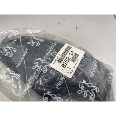 Genuine Peugeot 306 Wing Mirror Back Cover Black - Driver Side - 8152.14