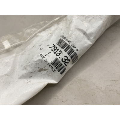 Genuine OE Peugeot 206 Bonnet Hinge Right - 7913.32