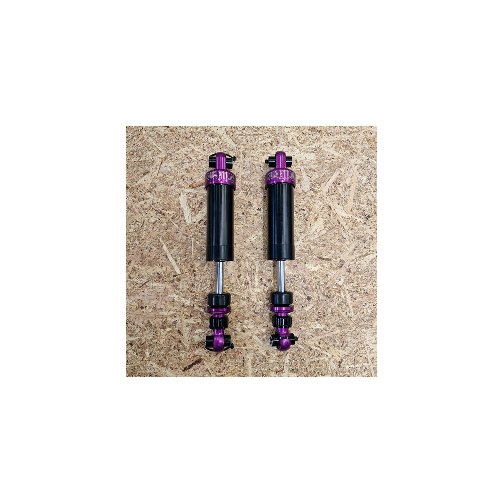 Peugeot 205 & 309 GTI Adjustable Quantum Rear Damper (1)